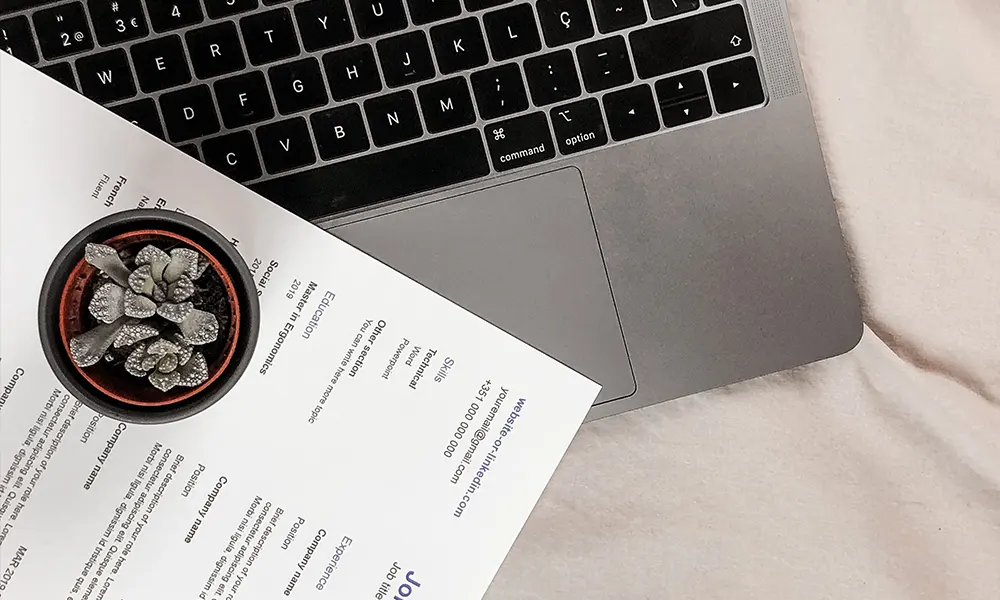 Book an Interview with Dolphin Personnel