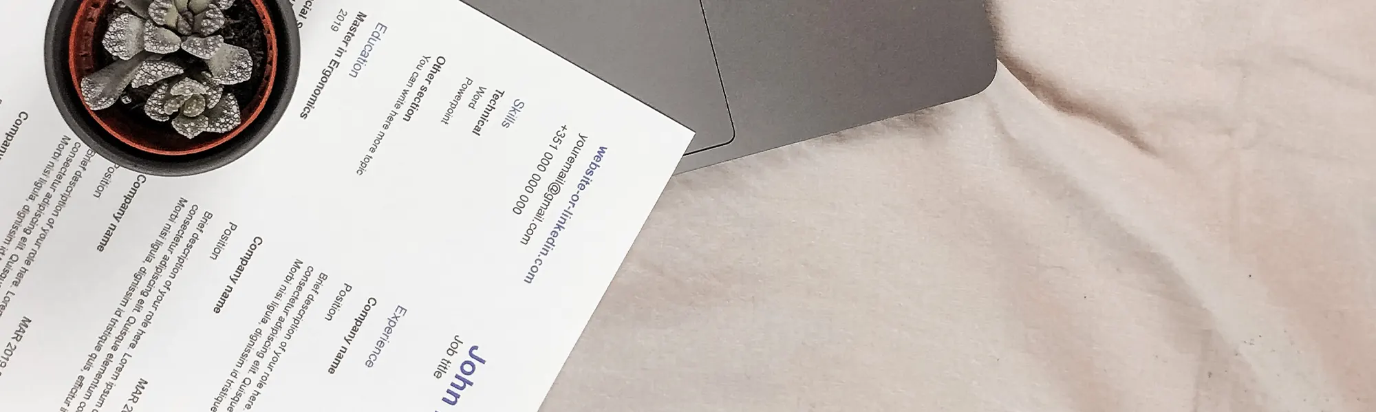 Book an Interview with Dolphin Personnel