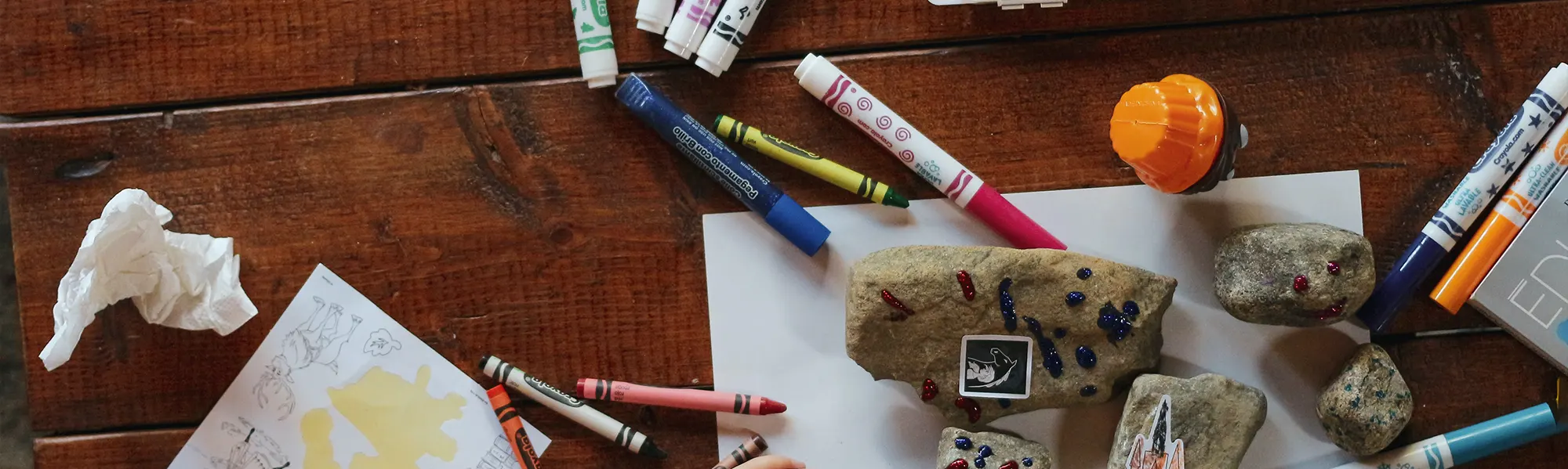 Contact Dolphin Personnel